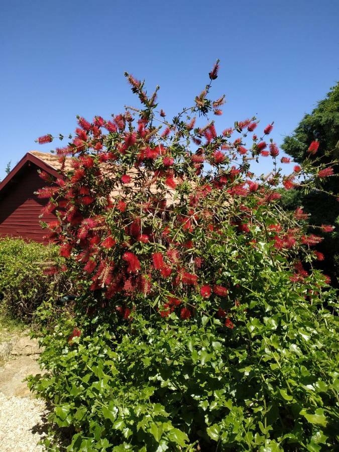 Hararit Cabin In The View 빌라 외부 사진